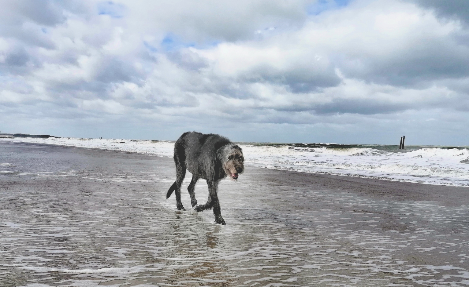 IMG_20250920_114902ff