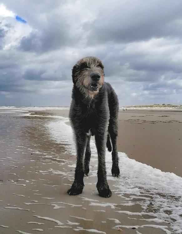 IMG_20250920_115347ff