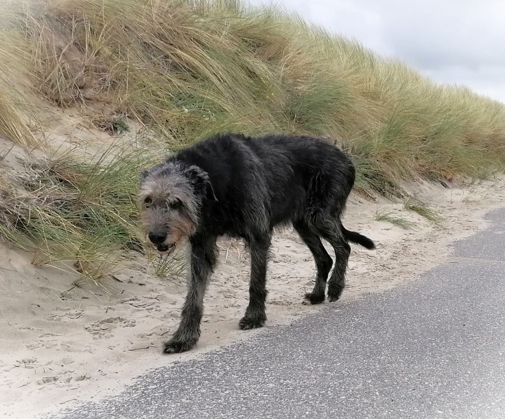 IMG_20251020_140310ff